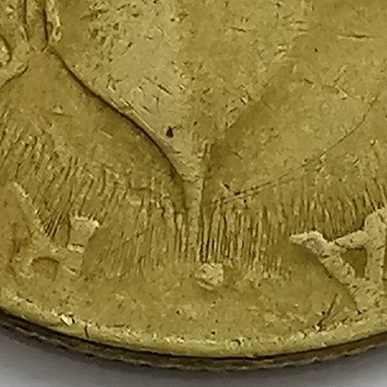 sena coins